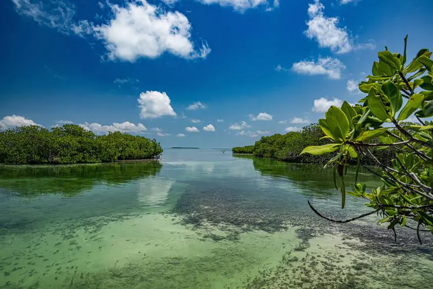 A view of the ocean from an island.
